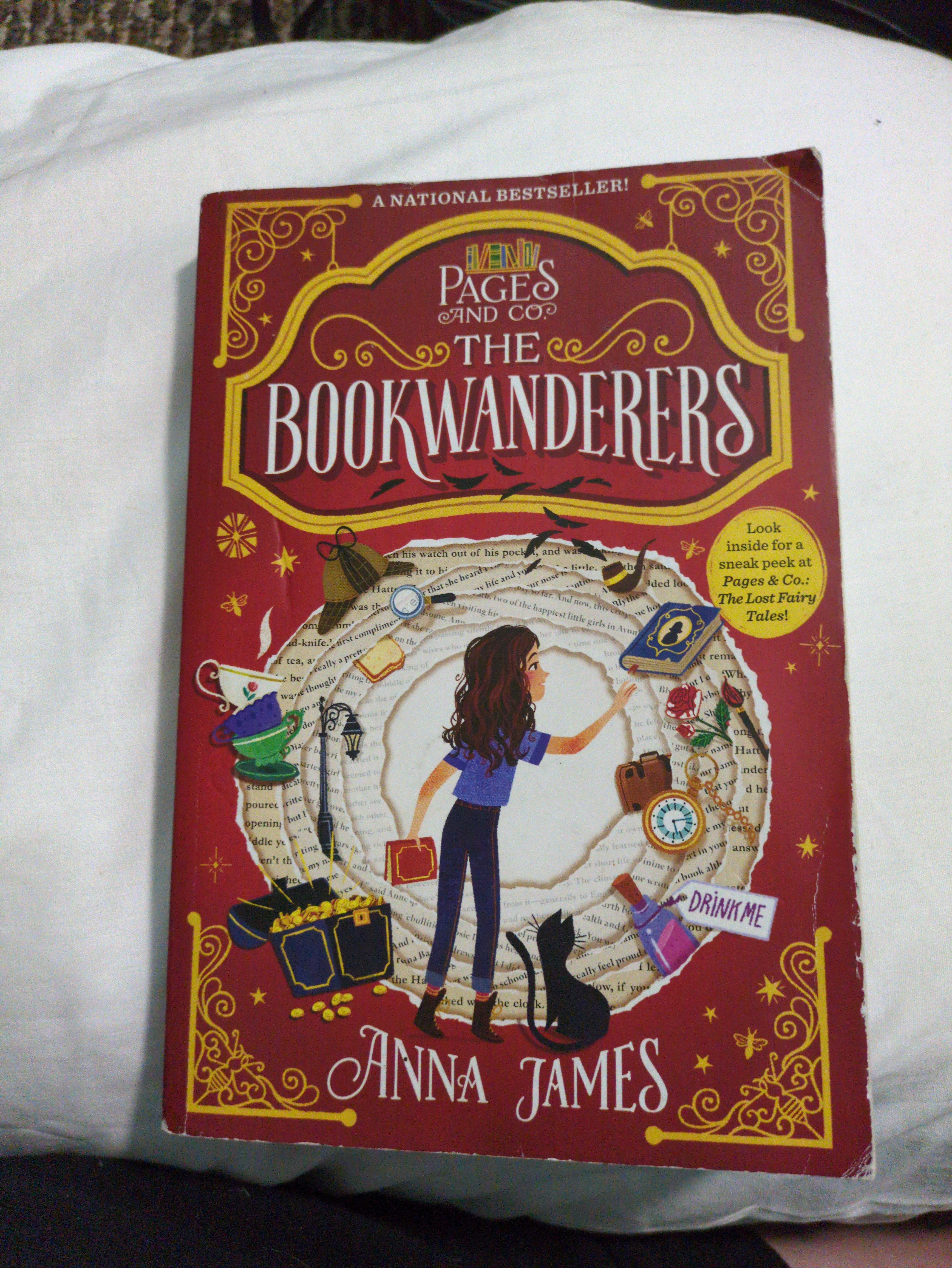 Cover of Pages & Co. : the Bookwanderers