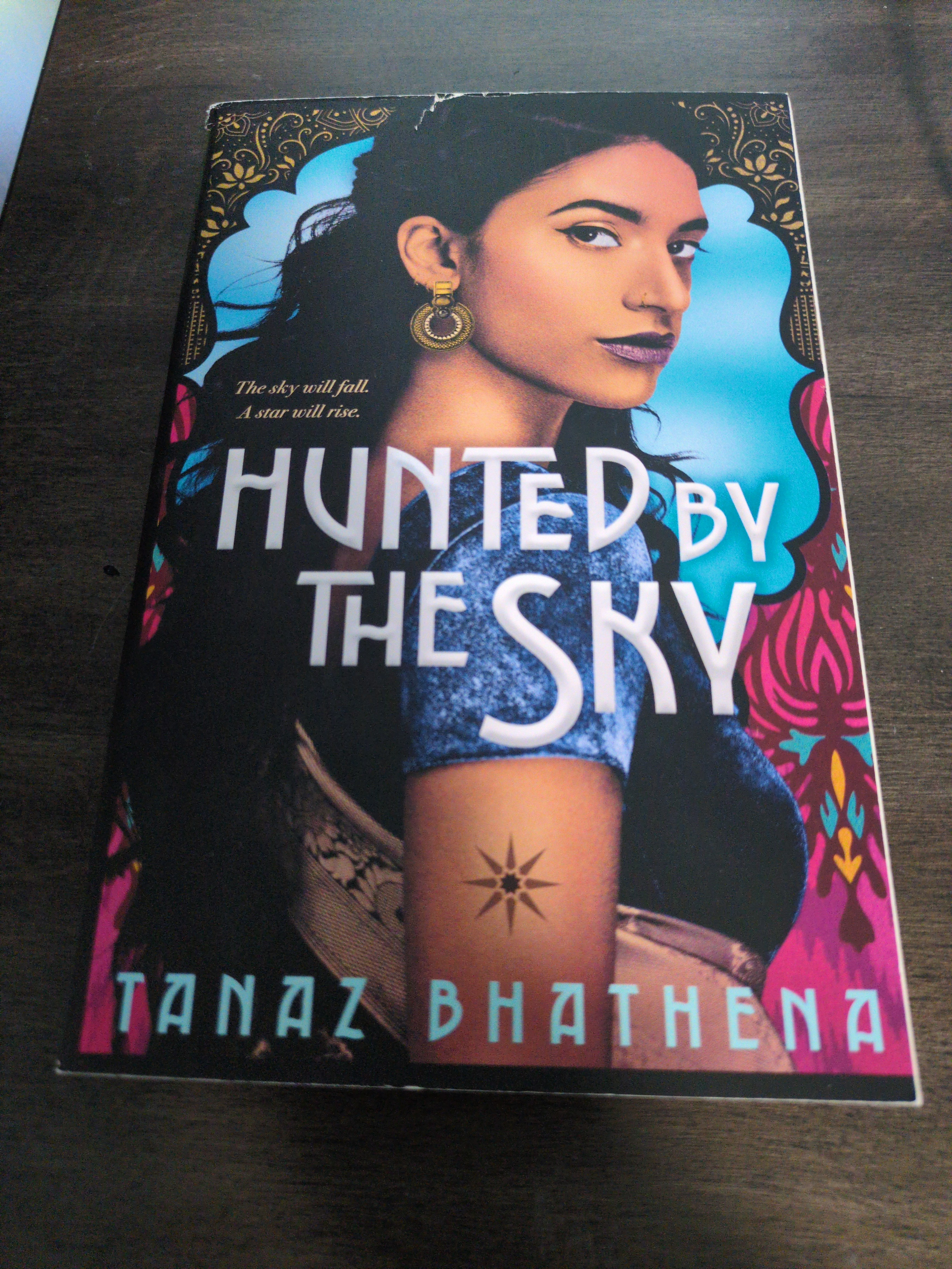 Cover of Hunted by the Sky