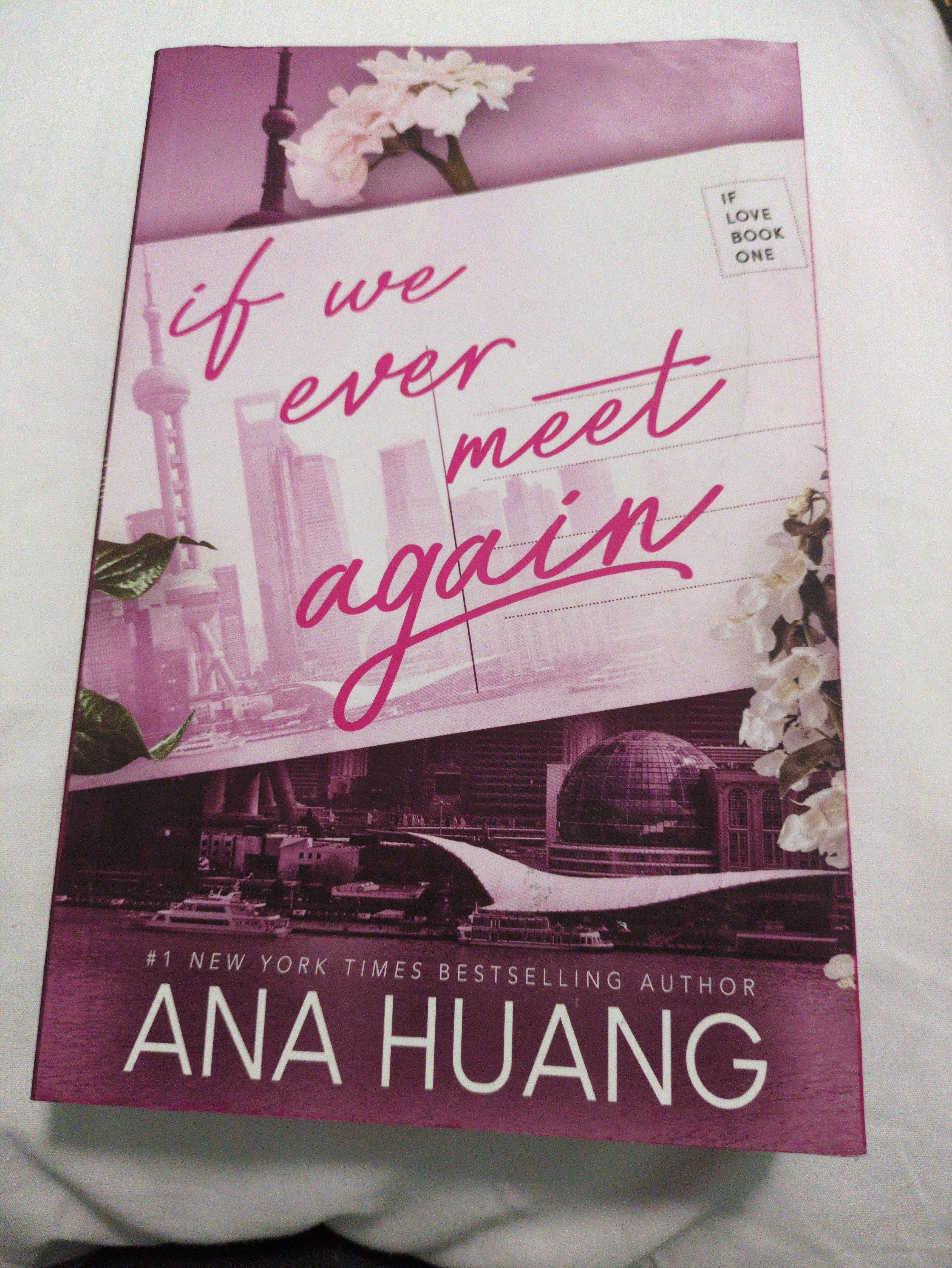 Cover of If We Ever Meet Again