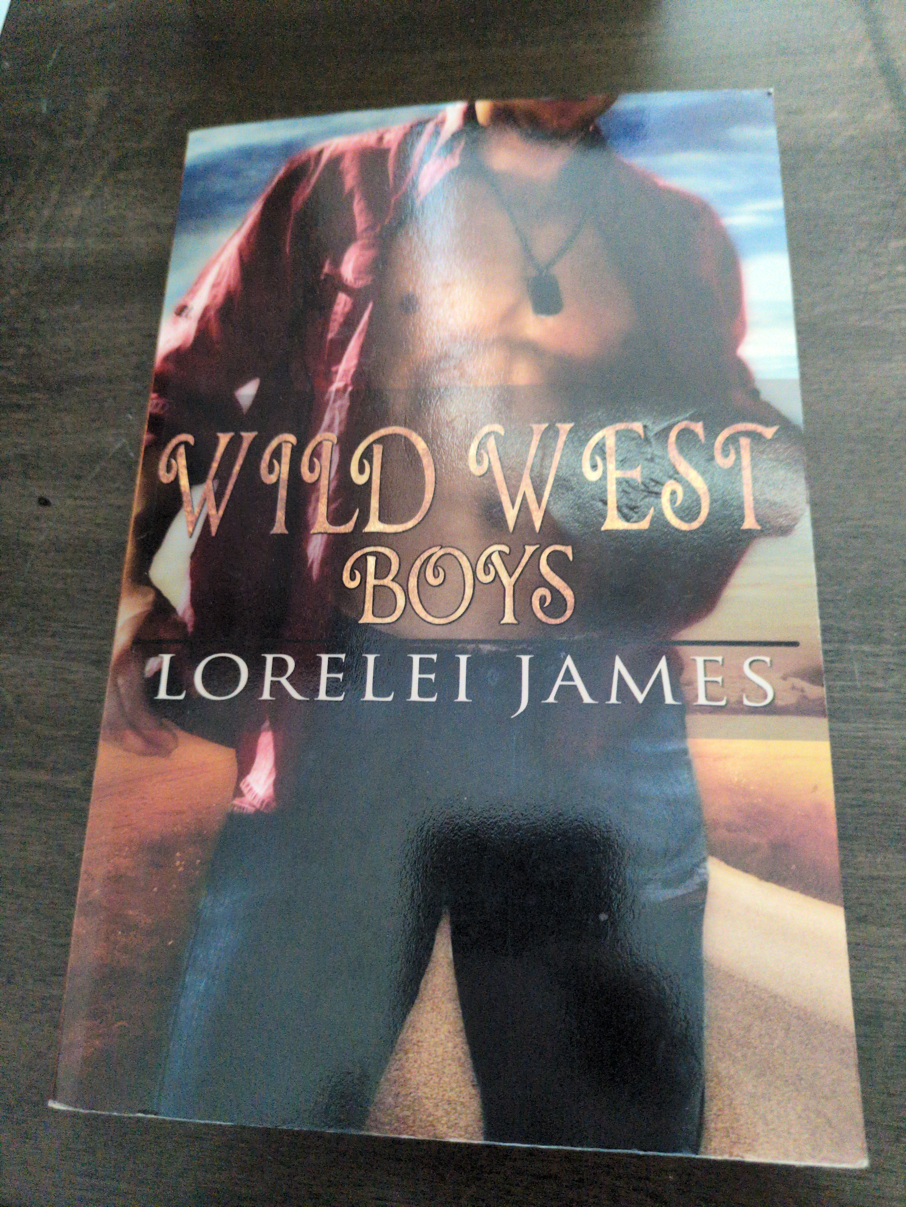 Cover of Wild West Boys