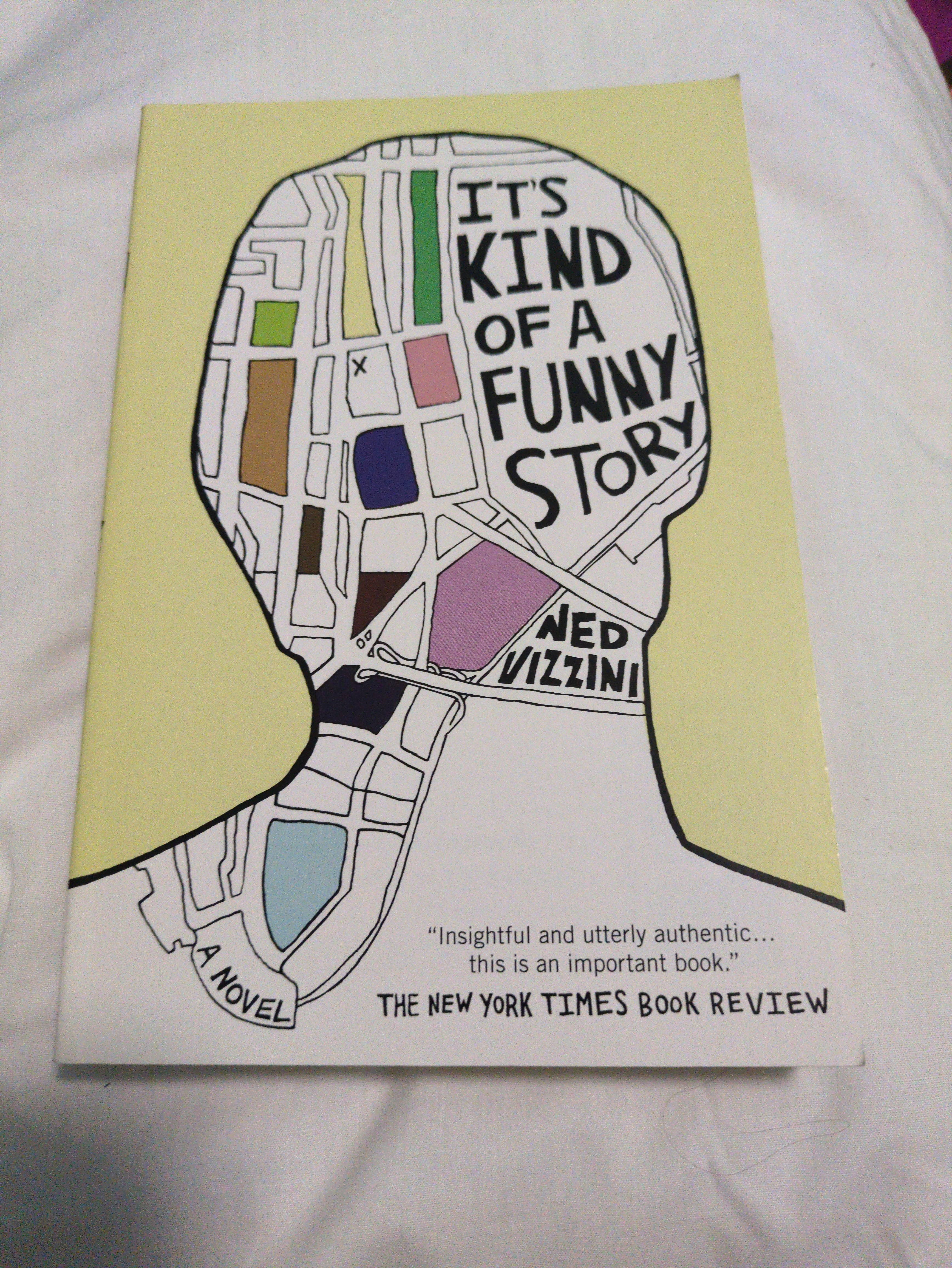 Cover of It's Kind of a Funny Story