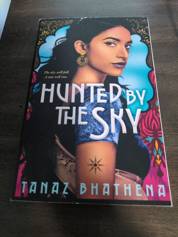 Cover of Hunted by the Sky