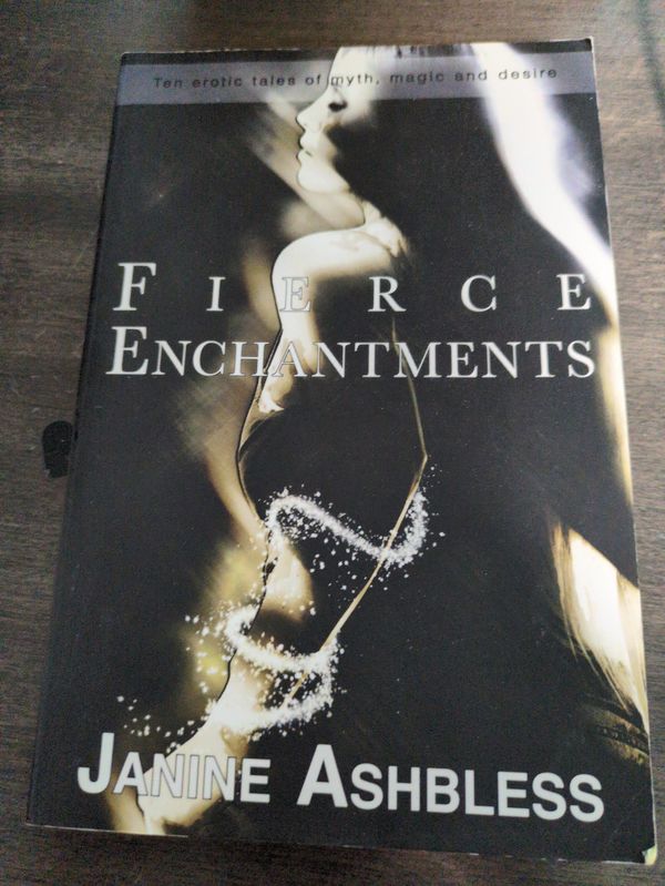 Cover of Fierce Enchantments